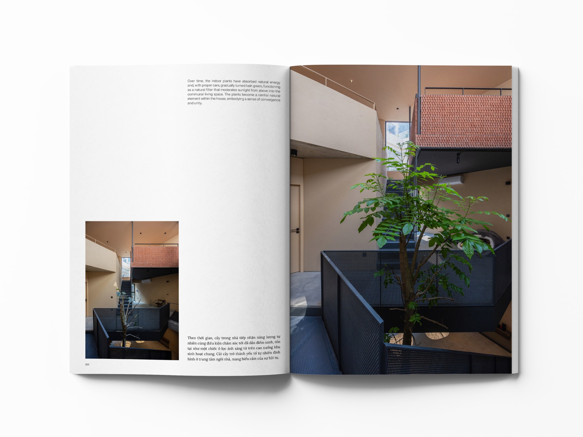 REPLY - Hình ảnh 6